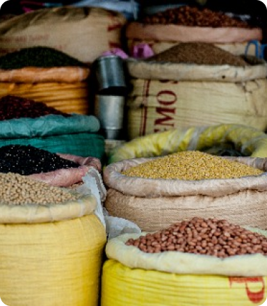 Multiple bags of grains